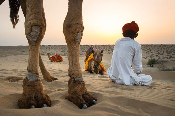 Camel and man at sunset, Thar Desert (Sam Sand Dunes), Jaisalmer, Rajasthan